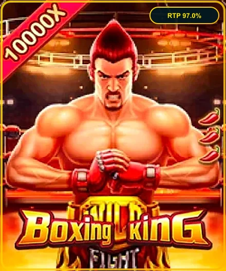 CV66 BOXING KING CV66 Bangladesh সিভি৬৬
